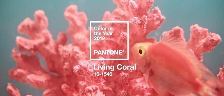Living Coral, Pantone per l’anno 2019. Un colore per l’ambiente